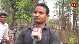 Cow smuggling rises in Subarnapur district