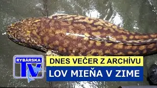 Lov mieňa s Petrom Martišom