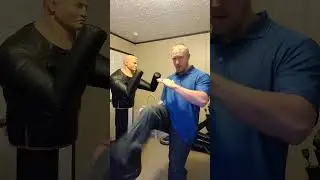 Snap Kick Guide #kenpo #kempo #boxing #taekwando #martialarts #kick #howto #mma #street #teacher