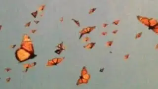 ｡ᨳ medita&ccedil;&atilde;o guiada para DR | angel repost ⭐