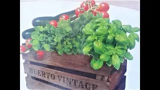 COMO HACER UN HUERTO EN MACETAS O MACETOHUERTO 🍆  CULTIVA TUS FRUTAS Y VERDURAS EN CASA!
