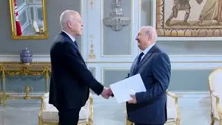 Tunisian president receives first draft of new constitution
