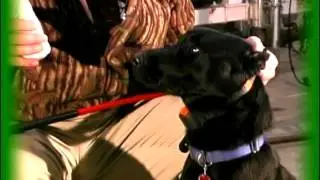 Brief SmartFetch exerpt