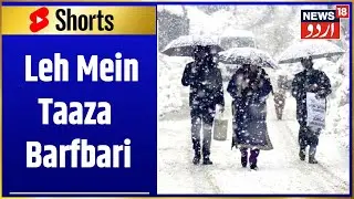 Ladakh News | Fresh Snowfall In Leh | People Enjoying Cool Weather | News18 Urdu