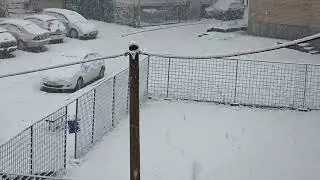 ZIMSKA IDILA (Zavidovići)04.01.'26.