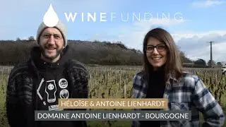 D&eacute;couvrez le projet du Domaine Antoine Lienhardt en Bourgogne