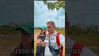 Кайман