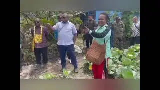 Gubernur Papua Tengah dan Bupati Deiyai Kunjunngi Kelompok Tani Topino Mewei Melihat Bawang Merah.