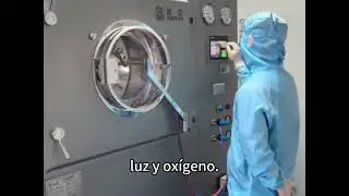 Así es una línea de producción de pastillas 100% automatizada y certificable.