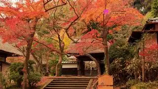 Engakuji Temple, Kanagawa
