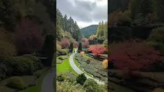 #tiktok #nature #canadaparadise #youtube #travel #insta #love #canadianrockies