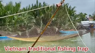 Vietnam 🇻🇳 traditional fishing 🐠trap demonstration. 