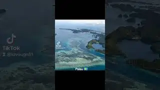 Palau 🇵🇼      #micronesia #pacificisland #pacificislander #travel #koror #republicofpalau