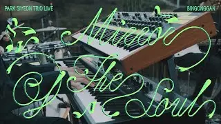 《Mirror of the Soul &ndash; A Meditative Jazz Journey in Nature (자연 속 재즈 라이브)》