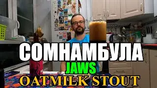 ПИВО SOMNAMBULA от JAWS. DOUBLE OATMILK STOUT. #пиво #обзорпива #крафтовоепиво