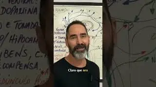 Am&iacute;gdala Cerebral: Fun&ccedil;&atilde;o, Emo&ccedil;&otilde;es e N&uacute;cleo Accumbens! #shorts