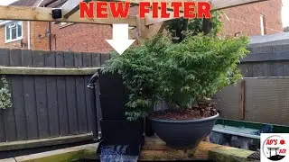 New filter installation and some very bad news (not click bait) 🐟🐟🐟
