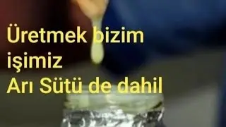 Arıs&uuml;t&uuml; hasadı...#royaljely #arıcılık #polen #apiterapi