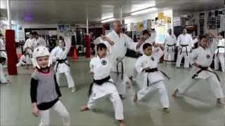 Harlem Shake - Shotojuku (Karate Edition)