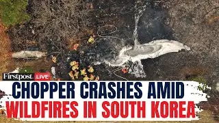 LIVE: South Korean Rescuers Find Charred Wreckage of Firefighting Helicopter After Deadly Crash|N18G