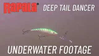 Rapala Deep Tail Dancer Underwater Footage