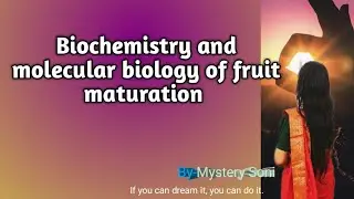 Biochemistry and molecular biology of fruit maturation | Climacteric and non- Climacteric