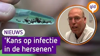 TEKEN kunnen meer veroorzaken dan de ZIEKTE VAN LYME