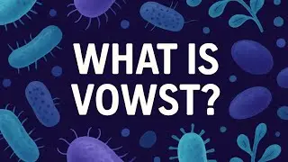What Is Vowst? | My Honest Experience Taking It for C. diff