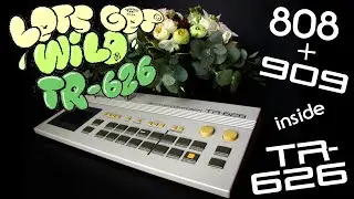 TR-626 ROM expansion kit again