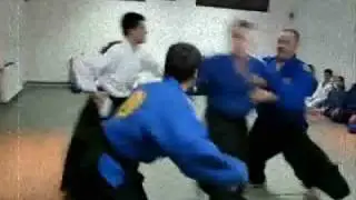 REALNI AIKIDO-CENTAR REALNOG AIKIDOA  UCA