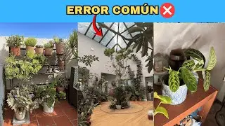 ❌ Tu Casa Pequeña Está Mal Decorada — Estas 8 Plantas Colgantes Lo Arreglan (La #9 Purifica)