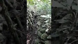 New Zealand gold prospecting. slab hutt Chinese mining area, hidden in the bush.