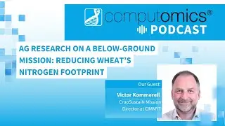 Ag Research on a Below-Ground Mission: Reducing Wheat’s Nitrogen Footprint
