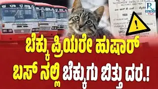 KSRTC Bus Ticket | ಬಸ್ನಲ್ಲಿ ಬೆಕ್ಕಿನ ಮರಿಗೂ ಶೇ.50 ರಷ್ಟು ಟಿಕೆಟ್ಶುಲ್ಕ ತೆಗೆದುಕೊಂಡ ಘಟನೆ ನಡೆದಿದೆ|