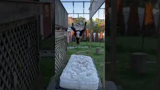 Coffin Lache #shorts #anw #ninja #lache