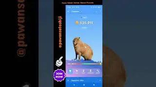 **CapyBara Airdrop 📭🏌 - The Ultimate Guide to Not Coin Mining Backed by SUI Network 🔥🔥**