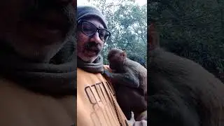 मंगलवार हनुमान जी से बात subscribe please