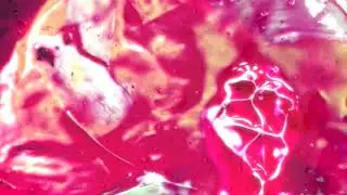 Womb Room Video (in progress)