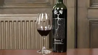 Vina Ventisquero Root 1 Carmenere 2016 , wine review