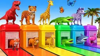 Animal Color Matching Game 🐯🦒 | Kids Learning Video&rdquo;Learn Colors & Animals for Kids | 3D Animation 🧌