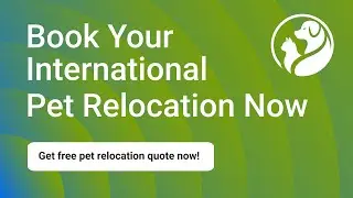 Book Your International Pet Relocation Now | HappyLocate