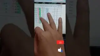 معنى العلم الأصفر والبرتقالي والأحمر في التداول