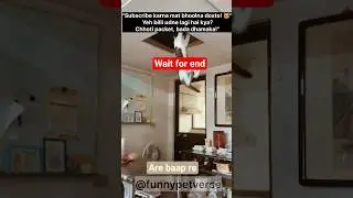 Jumping Kitten Ka Funny Attack 😹 | Dekhkar Hansi Na Roke #shorts#shorts