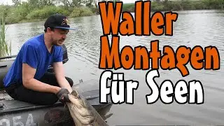 Wallermontagen am See // Welsangeln in Italien am Lago Superiore Teil 2