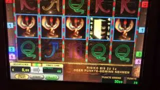 Book of ra  2015 Vollbild Tipps und Tricks