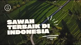 Rice field in Jatiluwih Bali Unesco World Heritage ! Best Rice Field