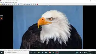 Free Image Editing with IrfanView