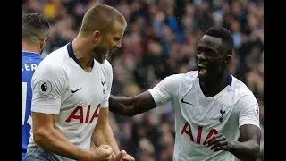 Tottenham vs Cardiff City 1-0 All Goals & Highlights 2018