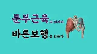 [ 마름모코어 시즌 2-38 ] 저항으로 만들어진  둔부근의 위치는 바른 정렬과 보행을 만든다 / 둔부근 강화 운동 실전편