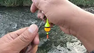 Catch more fish with a simple rig + ✅bread bait